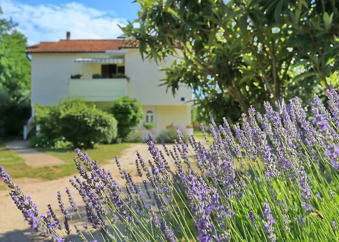 Romansa Apartamento Zaton (Zadar)