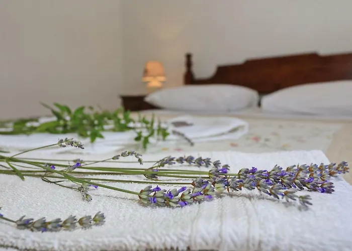 Apartment Romansa *