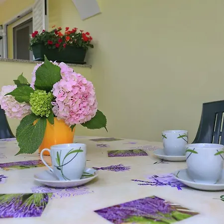 Romansa Zaton (Zadar)