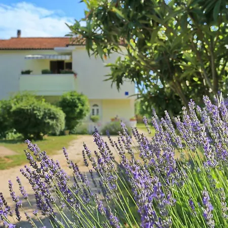 Romansa Apartman Zaton (Zadar)