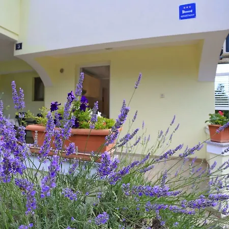 Apartment Romansa
