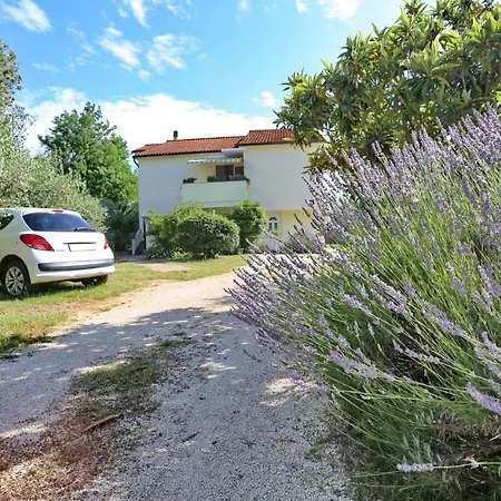 Romansa Zaton (Zadar)