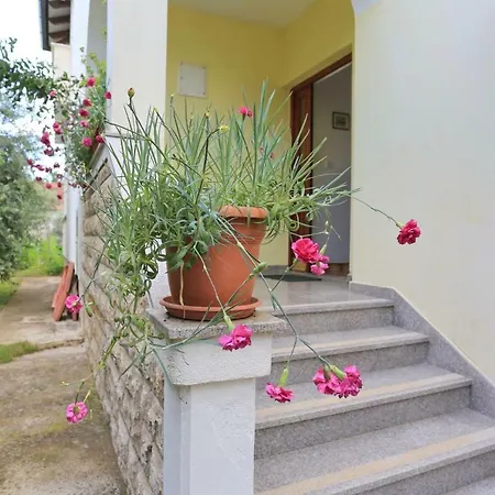 Apartment Romansa *