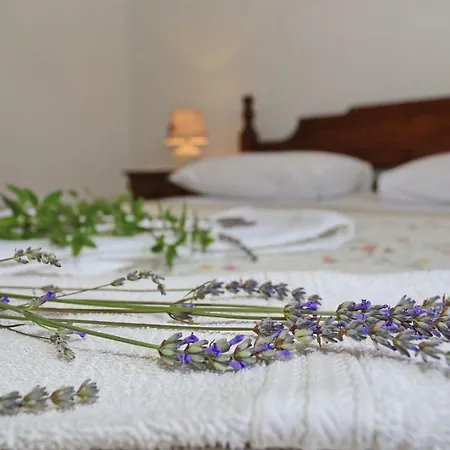 Apartment Romansa *
