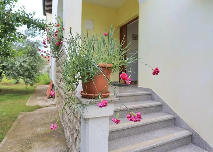 Apartament Romansa *